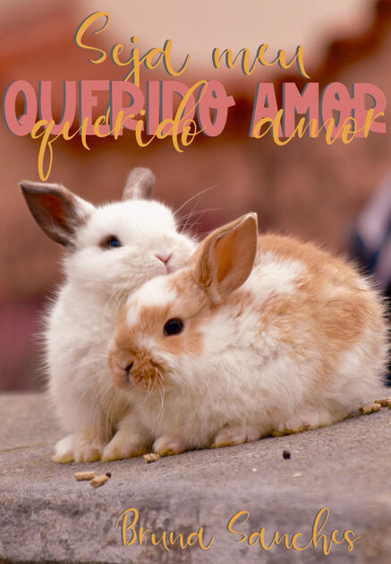 Dia 11